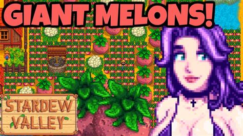 stardew melon|huge melon stardew.